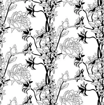 Vector Black Seamless Pattern with Drawn Flowers, Peony Stock Illustration