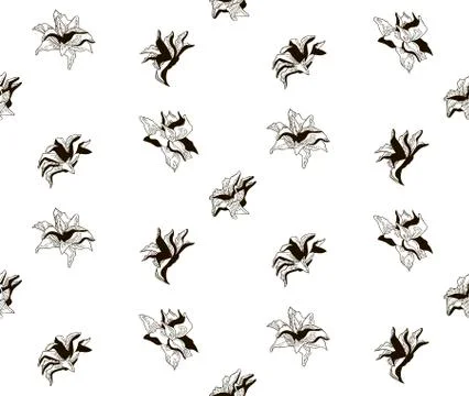 Vector Black Seamless Pattern with Drawn Flowers Stock Illustration