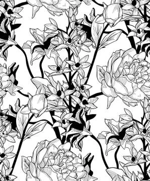 Vector Black Seamless Pattern with Drawn Flowers, Peony Stock Illustration