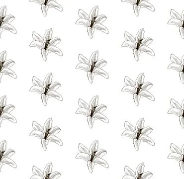 Vector Black Seamless Pattern with Drawn Lilies Stock Illustration