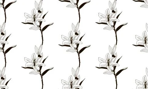 Vector Black Seamless Pattern with Drawn Lilies Stock Illustration