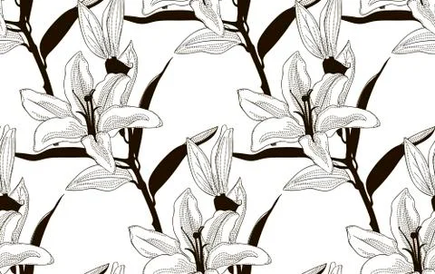 Vector Black Seamless Pattern with Drawn Lilies Stock Illustration