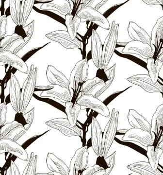 Vector Black Seamless Pattern with Drawn Lilies Stock Illustration