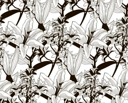 Vector Black Seamless Pattern with Drawn Flowers Stock Illustration