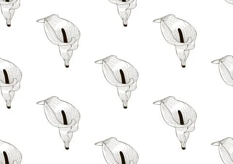 Vector Black Seamless Pattern with Drawn Lilies Stock Illustration