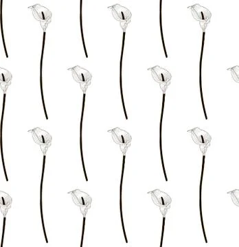 Vector Black Seamless Pattern with Drawn Lilies Stock Illustration