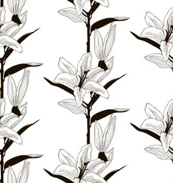 Vector Black Seamless Pattern with Drawn Lilies Stock Illustration