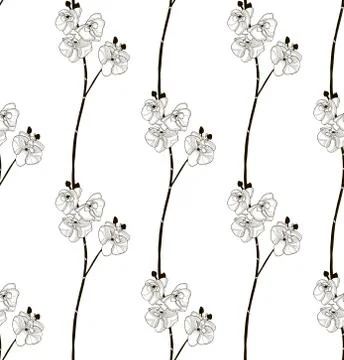 Vector Black Seamless Pattern with Drawn Orchid Flowers Stock Illustration