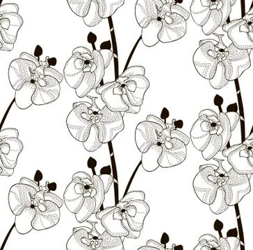 Vector Black Seamless Pattern with Drawn Orchid Flowers Stock Illustration