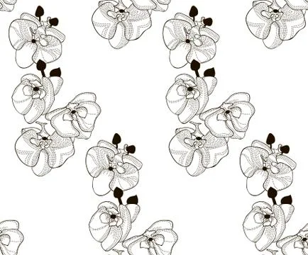 Vector Black Seamless Pattern with Drawn Orchid Flowers Stock Illustration