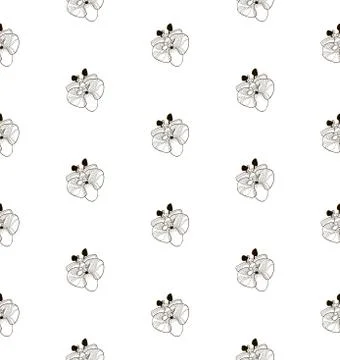 Vector Black Seamless Pattern with Drawn Orchid Flowers Stock Illustration