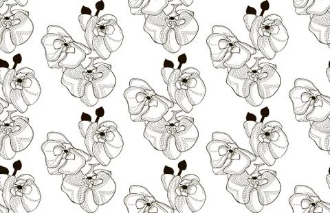 Vector Black Seamless Pattern with Drawn Orchid Flowers Stock Illustration