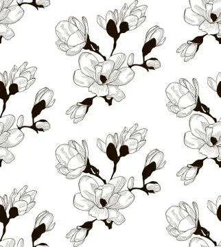 Vector Black Seamless Pattern with Drawn Cherry Flowers Stock Illustration