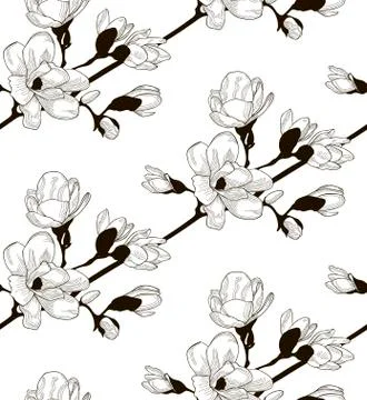 Vector Black Seamless Pattern with Drawn Cherry Flowers Stock Illustration