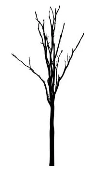 Vector black silhouette of a bare tree Stock Illustration