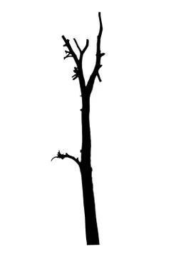 Vector black silhouette of a bare tree Stock Illustration