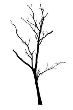 Vector black silhouette of a bare tree Stock Illustration