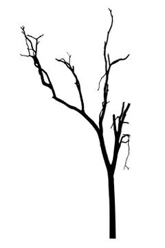 Vector black silhouette of a bare tree Stock Illustration