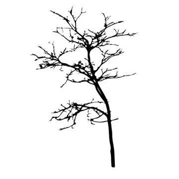 Vector black silhouette of a bare tree Stock Illustration