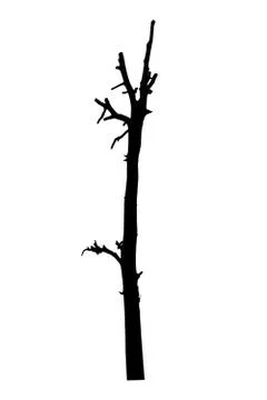 Vector black silhouette of a bare tree Stock Illustration