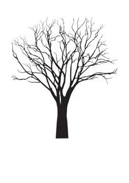 Vector black silhouette of a bare tree Stock Illustration