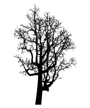 Vector black silhouette of a bare tree Stock Illustration