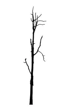 Vector black silhouette of a bare tree Stock Illustration