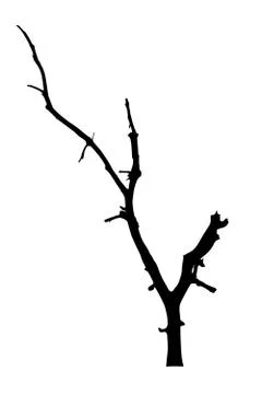 Vector black silhouette of a bare tree Stock Illustration