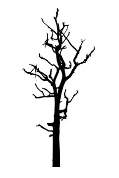 Vector black silhouette of a bare tree Stock Illustration