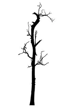 Vector black silhouette of a bare tree Stock Illustration