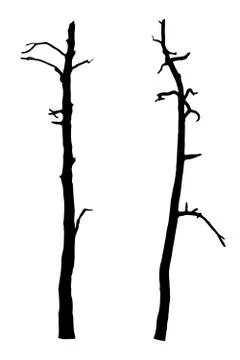 Vector black silhouette of a bare tree Illustrazione stock