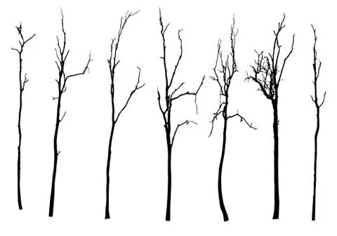 Vector black silhouette of a bare tree Stock Illustration