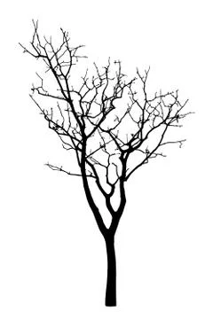 Vector black silhouette of a bare tree Illustrazione stock