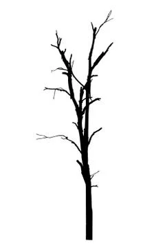 Vector black silhouette of a bare tree Stock Illustration