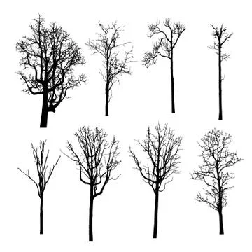 Vector black silhouette of a bare tree Stock Illustration