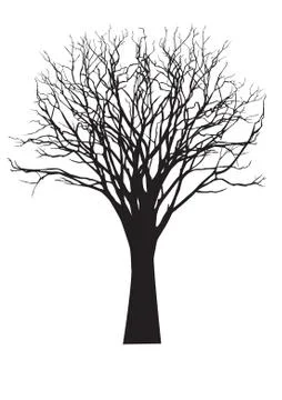 Vector black silhouette of a bare tree Stock Illustration
