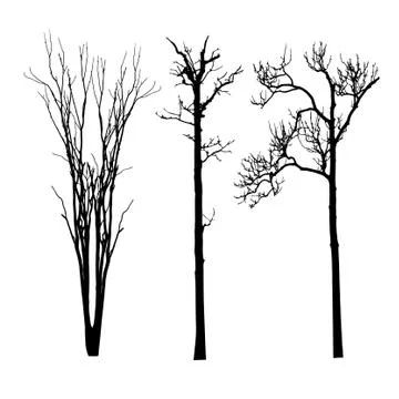 Vector black silhouette of a bare tree Stock Illustration