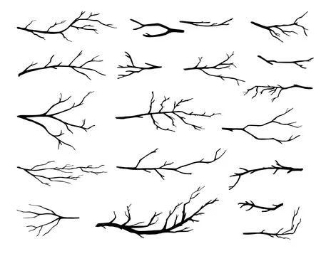 Vector black silhouette of a bare tree Stock Illustration