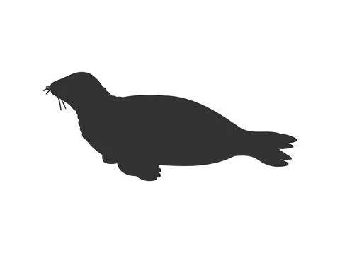Vector black silhouette illustration of leopard seal, isolated on white Illustrazione stock