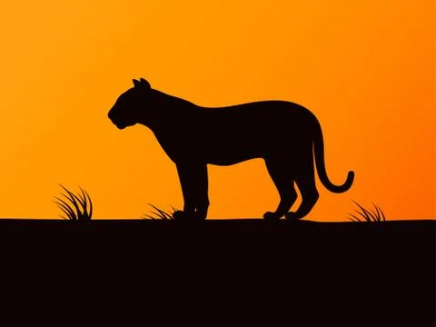 Vector black silhouette tiger on the sunset Stock Illustration