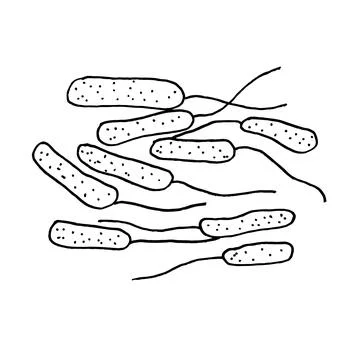 Vector black sketch bacteria isolated on white backgtound. Microbe in medical Stock Illustration