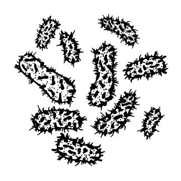 Vector black sketch bacteria isolated on white backgtound. Microbe in medical Stock Illustration