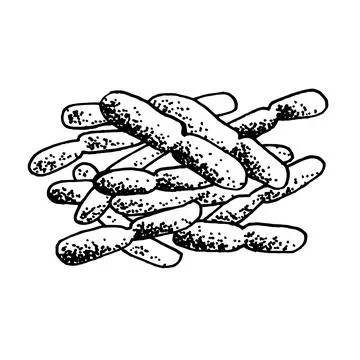 Vector black sketch bacteria isolated on white backgtound. Microbe in medical Stock Illustration