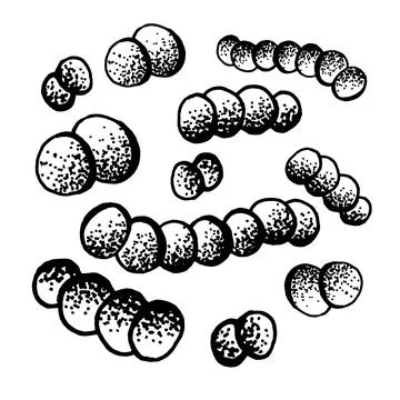 Vector black sketch bacteria isolated on white backgtound. Microbe in medical Stock Illustration