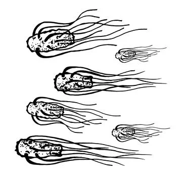 Vector black sketch bacteria isolated on white backgtound. Microbe in medical Stock Illustration