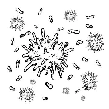 Vector black sketch bacteria isolated on white backgtound. Microbe in medical Stock Illustration