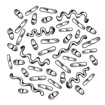 Vector black sketch bacteria isolated on white backgtound. Microbe in medical Stock Illustration