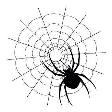 Vector black spider and web silhouette Stock Illustration
