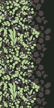 Vector black tropical round leaf creeper plant duit-duit Pyrrosia piloselloid Stock Illustration