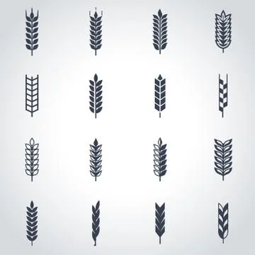 Vector black wheat ear icon set Stock Illustration